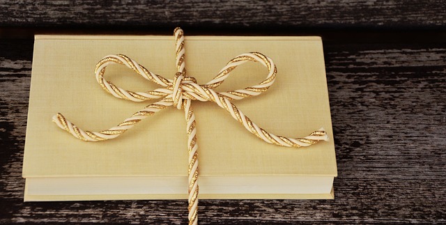Préparez les fêtes de fin d’année avec un livre sur noël